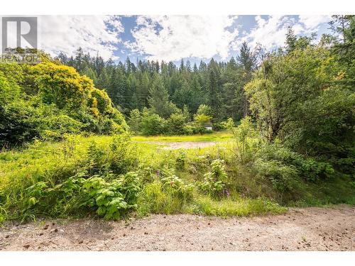 13828 3A Highway, Gray Creek, BC 