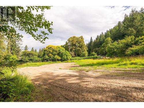 13828 3A Highway, Gray Creek, BC 