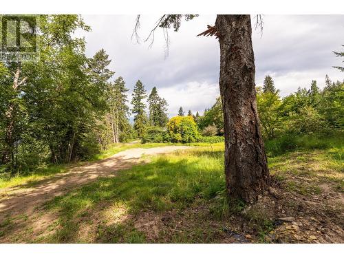 13828 3A Highway, Gray Creek, BC 