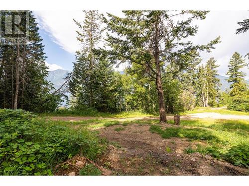 13828 3A Highway, Gray Creek, BC 