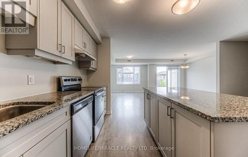 116 - 17 Valencia Avenue, Kitchener, ON - Indoor Photo Showing Kitchen With Upgraded Kitchen