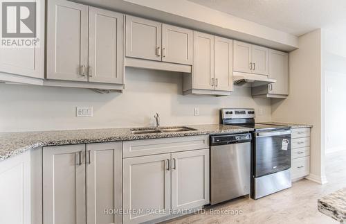 116 - 17 Valencia Avenue, Kitchener, ON - Indoor Photo Showing Kitchen With Double Sink With Upgraded Kitchen