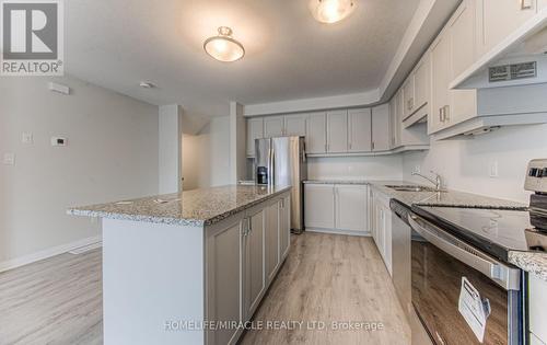 116 - 17 Valencia Avenue, Kitchener, ON - Indoor Photo Showing Kitchen With Upgraded Kitchen