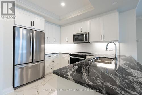 201 - 1975 Fountain Grass Drive, London, ON - Indoor Photo Showing Kitchen With Stainless Steel Kitchen With Double Sink With Upgraded Kitchen