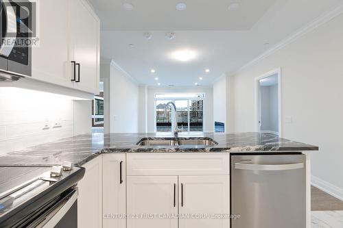 201 - 1975 Fountain Grass Drive, London, ON - Indoor Photo Showing Kitchen With Double Sink With Upgraded Kitchen