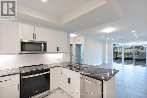 201 - 1975 Fountain Grass Drive, London, ON - Indoor Photo Showing Kitchen With Stainless Steel Kitchen With Double Sink With Upgraded Kitchen