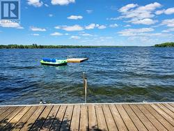 Swim dock - 