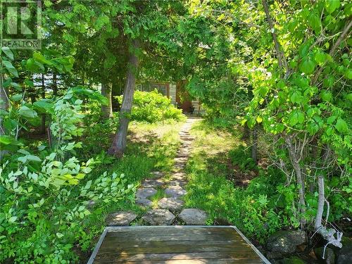 Swim dock to the cottage - 246 Mcnally'S Lane, Westport, ON - Outdoor