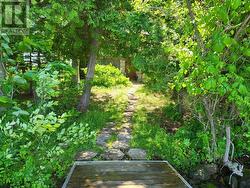 Swim dock to the cottage - 