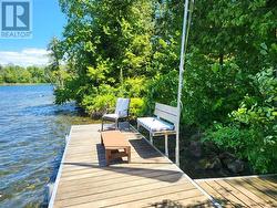 Swim dock - 