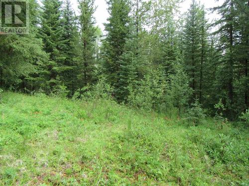 Lot 2 High Country Road, 100 Mile House, BC 