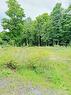 2797 Bellamy Road, White Lake, ON 