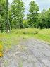 2797 Bellamy Road, White Lake, ON 