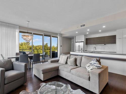 Living room - 203-4001 Rue Elsa-Triolet, Laval (Chomedey), QC - Indoor Photo Showing Living Room