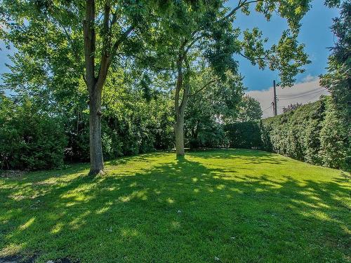 Land/Lot - 82E Avenue, Laval (Chomedey), QC 