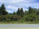 Lot 1 Highway 486, River Philip, NS 