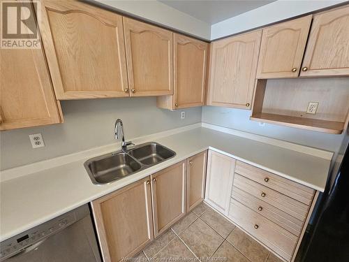 401 Grand Marais Unit# 307, Windsor, ON - Indoor Photo Showing Kitchen With Double Sink