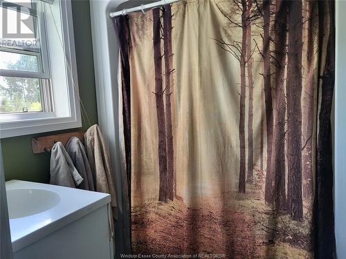 130 County Rd 27 West, Kingsville, ON - Indoor Photo Showing Bathroom