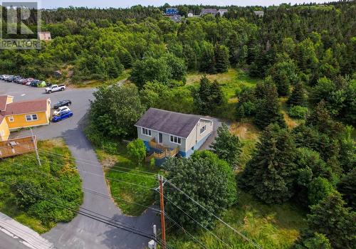 1407 Torbay Road, Torbay, NL - Outdoor With View