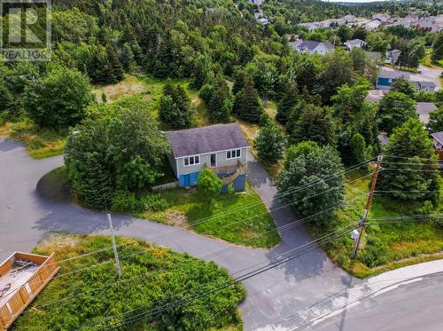 1407 Torbay Road, Torbay, NL - Outdoor With View