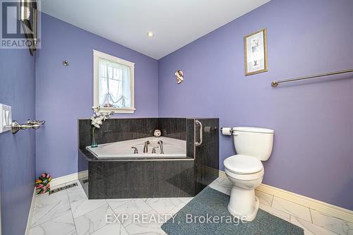 65 Alexander Boulevard, Georgina (Sutton & Jackson'S Point), ON - Indoor Photo Showing Bathroom