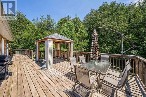 65 Alexander Boulevard, Georgina, ON - Outdoor With Deck Patio Veranda