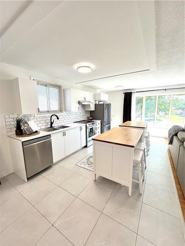 87 Locheed Drive, Hamilton, ON - Indoor Photo Showing Kitchen With Double Sink