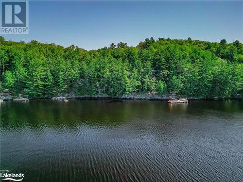 59 Mill Lake, Mcdougall, ON 