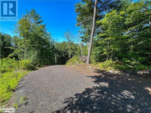 top of driveway - 59 Mill Lake, Mcdougall, ON 