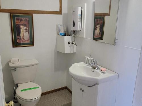 220 Second Street, Rainy River, ON - Indoor Photo Showing Bathroom