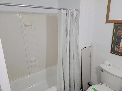 220 Second Street, Rainy River, ON - Indoor Photo Showing Bathroom