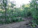 N/A Island Road Unit# Lot 3, Whitefish, ON 