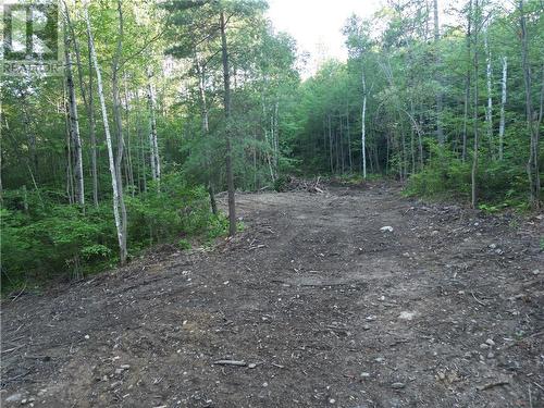 N/A Island Road Unit# Lot 3, Whitefish, ON 