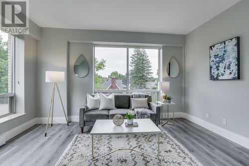 309 - 250 Sydenham Street, London, ON - Indoor Photo Showing Living Room