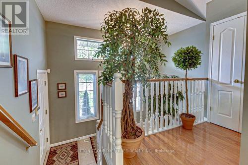 77 Simms Court, London, ON - Indoor Photo Showing Other Room