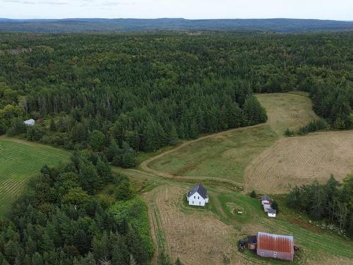 1262 Rear Intervale Road, Judique North, NS 