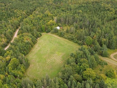 1262 Rear Intervale Road, Judique North, NS 