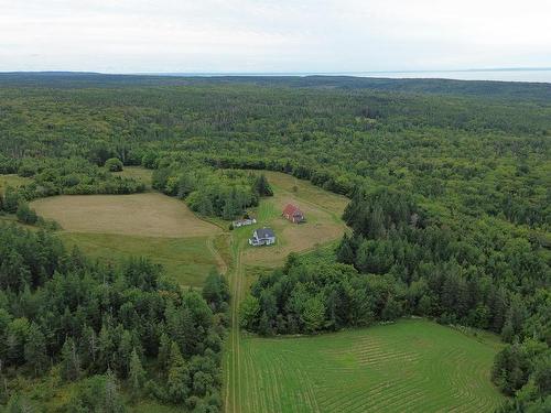 1262 Rear Intervale Road, Judique North, NS 