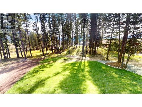 2042 Golden Eagle Drive, Sparwood, BC - Outdoor With View