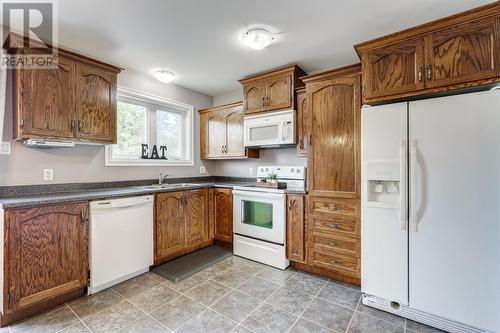 59 Cranes Road, Spaniards Bay, NL - Indoor Photo Showing Kitchen With Double Sink