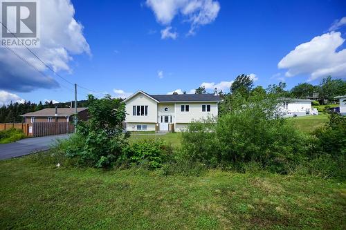 59 Cranes Road, Spaniards Bay, NL - Outdoor