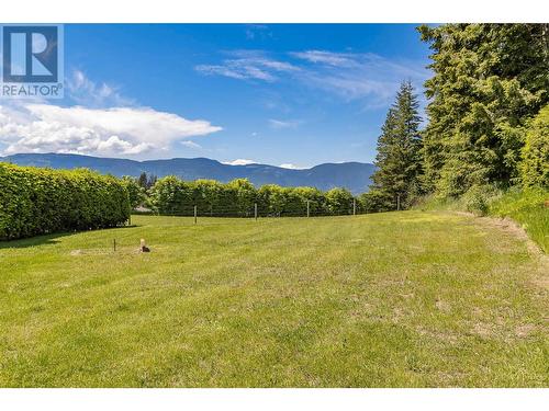 3851 10 Avenue Se, Salmon Arm, BC - Outdoor With View