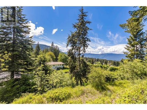 3851 10 Avenue Se, Salmon Arm, BC - Outdoor With View