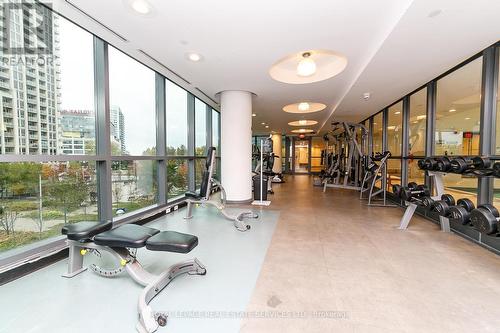 660 - 209 Fort York Boulevard, Toronto, ON - Indoor Photo Showing Gym Room