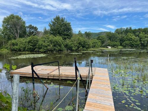 Waterfront - 43 Rue Taillefer, Grenville-Sur-La-Rouge, QC - Outdoor With Body Of Water With View