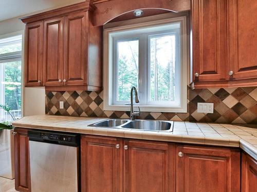 Kitchen - 125 Rue Du Bonniebrook, Saint-Colomban, QC - Indoor Photo Showing Kitchen With Double Sink