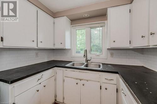 46 Appalachian Crescent, Kitchener, ON - Indoor Photo Showing Kitchen With Double Sink