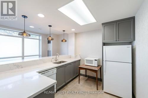 308 - 800 Sheppard Avenue W, Toronto (Bathurst Manor), ON - Indoor Photo Showing Kitchen