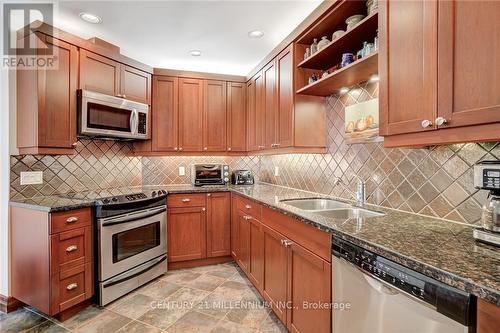 17 - 224 Blueski George Crescent, Blue Mountains, ON - Indoor Photo Showing Kitchen With Double Sink