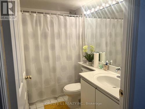 2010 - 22 Hanover Road, Brampton (Queen Street Corridor), ON - Indoor Photo Showing Bathroom